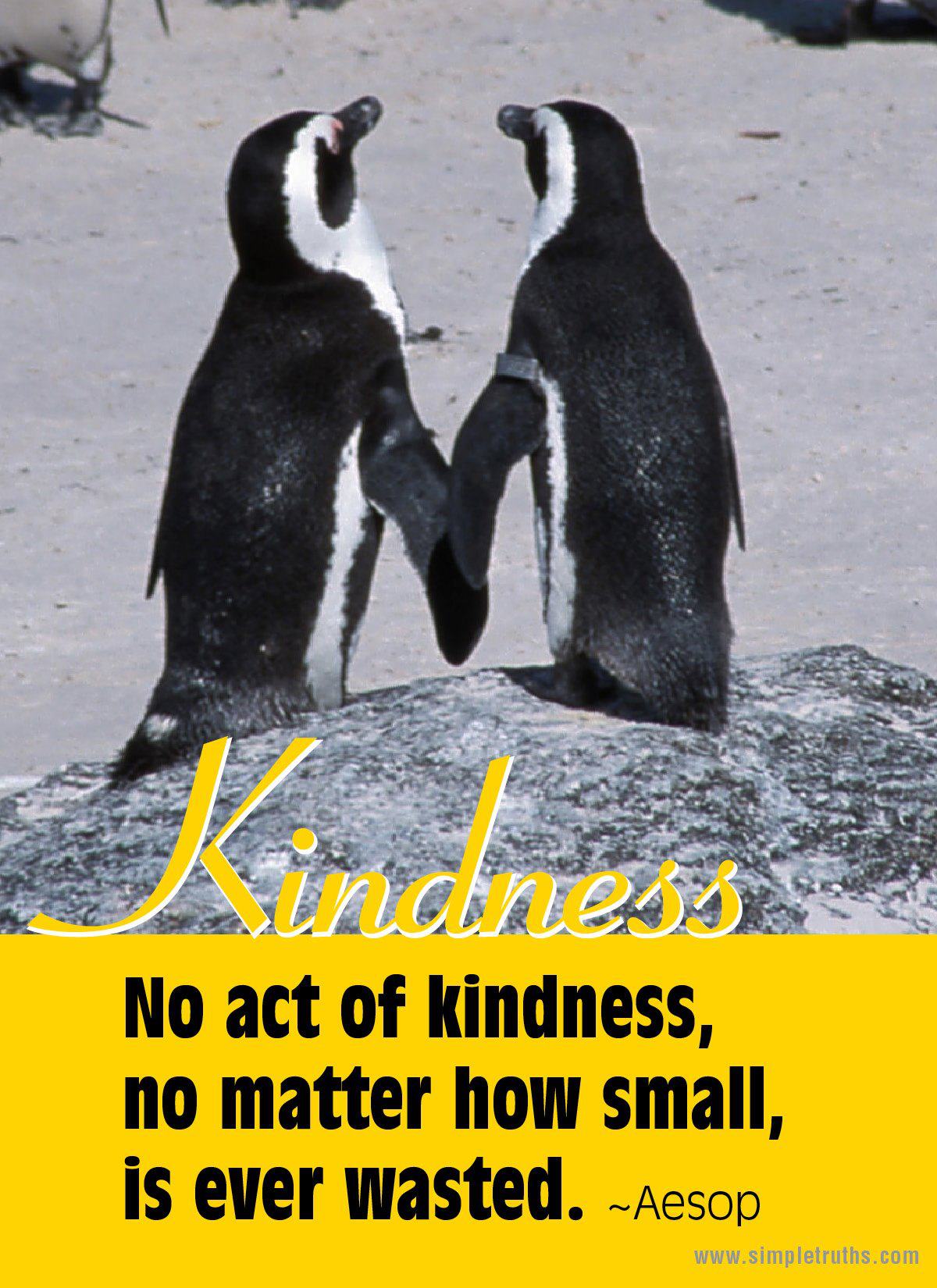 Motivational Wallpaper On Kindness - No Act Of Kindness Is Ever Wasted , HD Wallpaper & Backgrounds