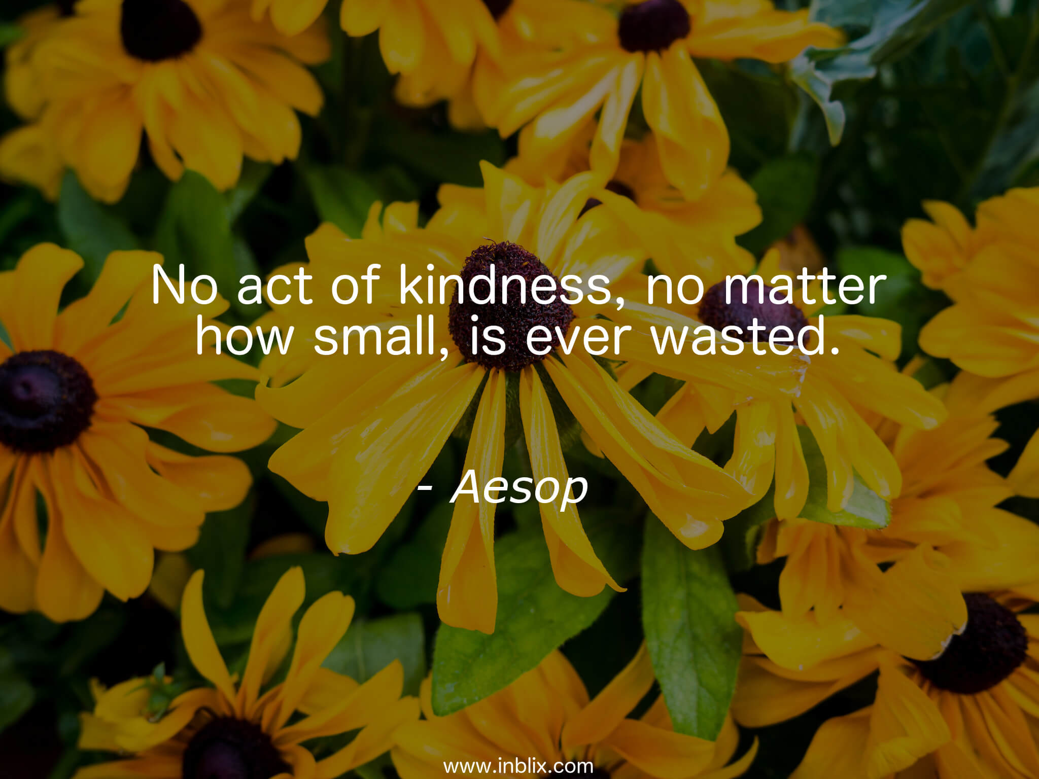 No Act Of Kindness, No Matter How Small, Is Ever Wasted - Good Morning Quotes And Kindness , HD Wallpaper & Backgrounds