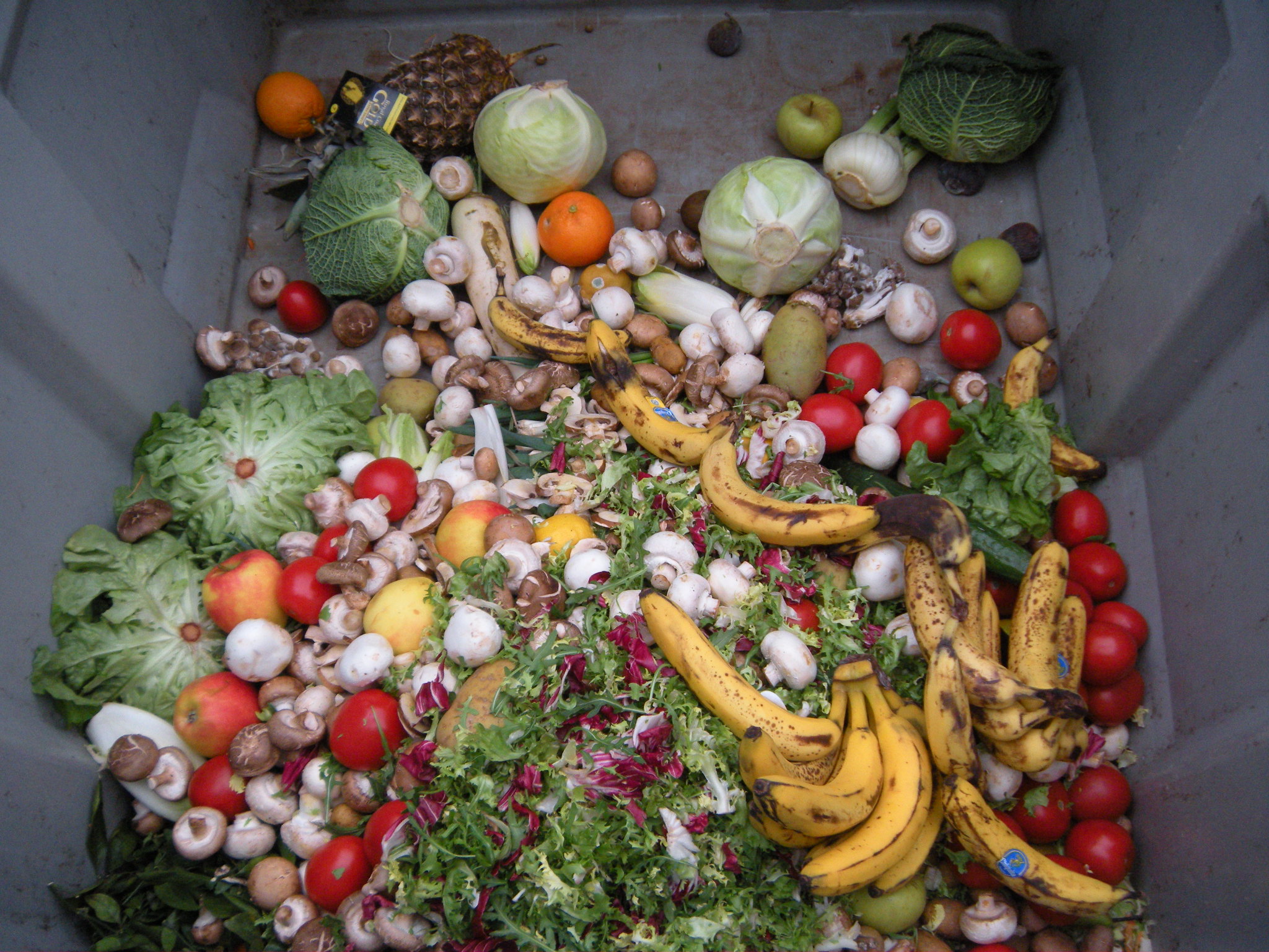 Food Waste - Wasted Fruit And Vegetables , HD Wallpaper & Backgrounds