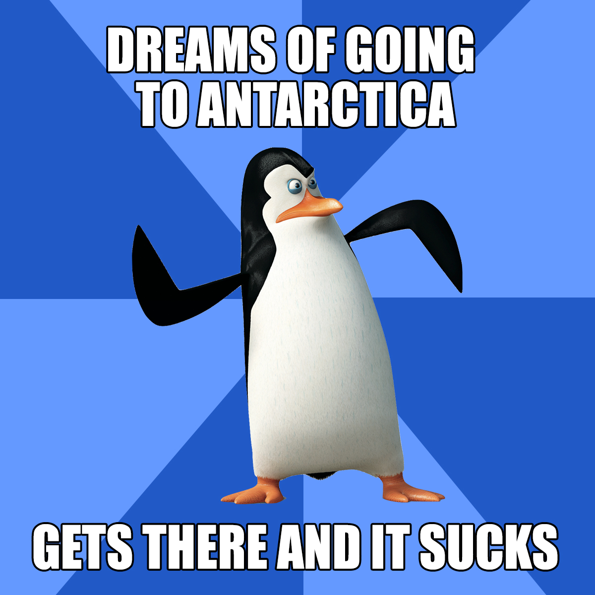 Penguins Of Madagascar Images Kowalski's Wasted Dream - Pedobear Meme , HD Wallpaper & Backgrounds