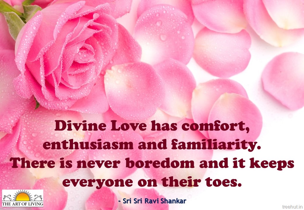 Sri Sri Ravi Shankar Quotes On Love - Pink Rose With Petals , HD Wallpaper & Backgrounds