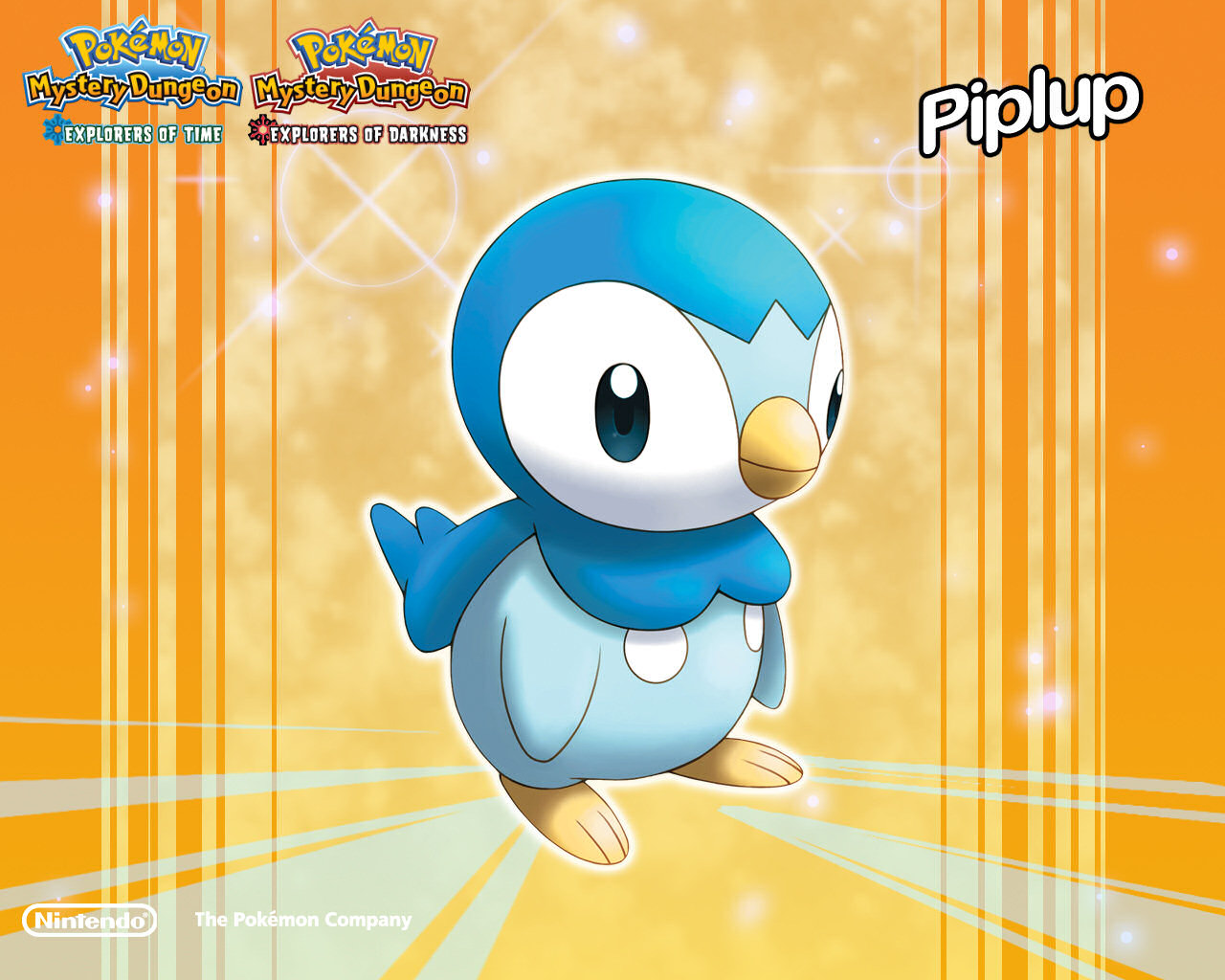 Piplup Pokemon Wallpaper - Pokemon Mystery Dungeon Piplup , HD Wallpaper & Backgrounds