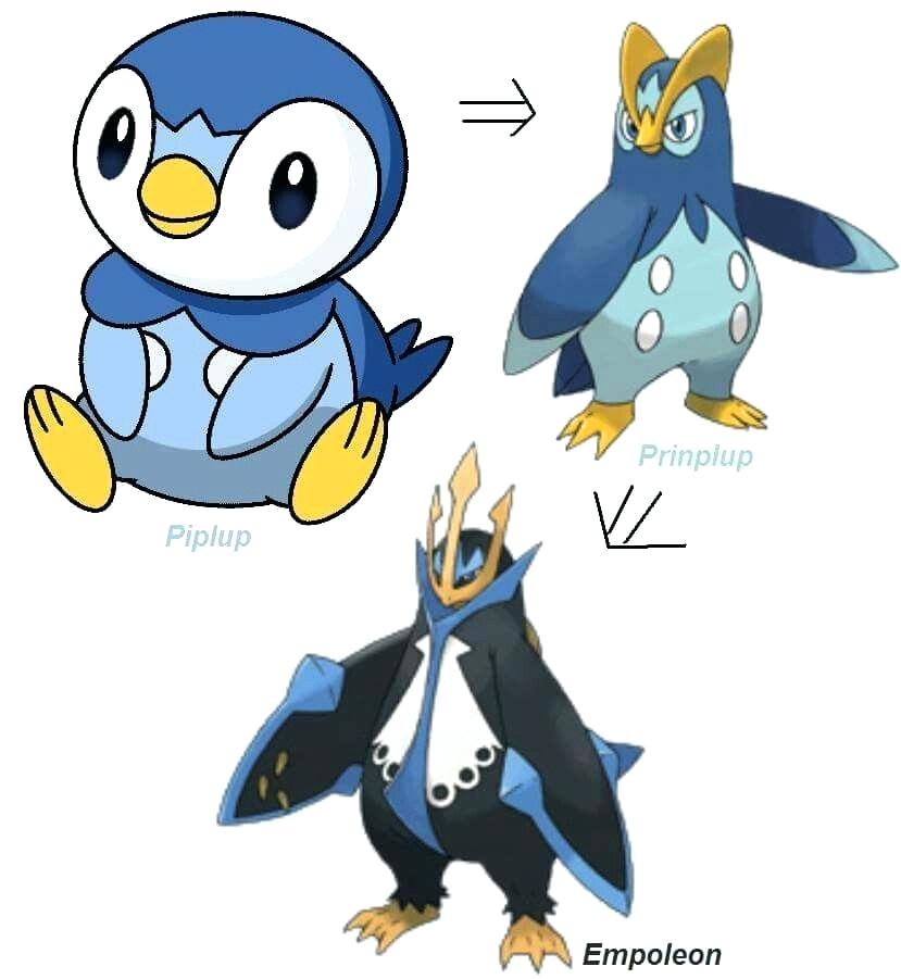 Pictures Of Piplup Evolution Pictures Of Piplup From - Pokemon Empoleon , HD Wallpaper & Backgrounds