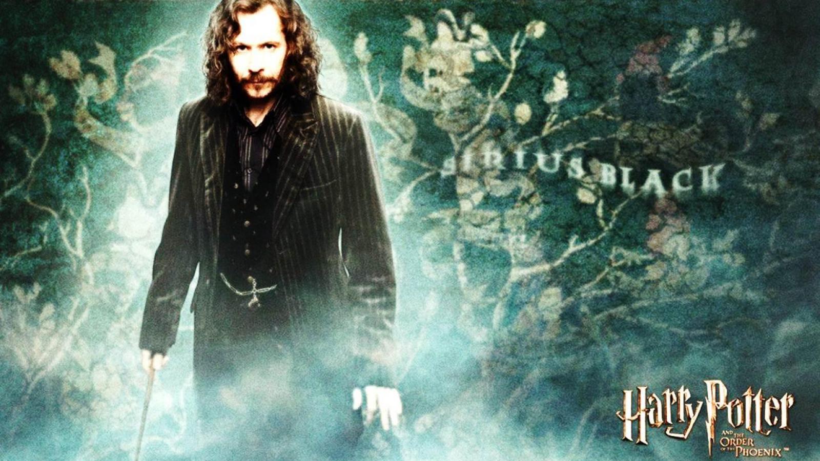 Sirius Black Wallpaper - Harry Potter Wallpaper 1920x1080 Sirius Black , HD Wallpaper & Backgrounds
