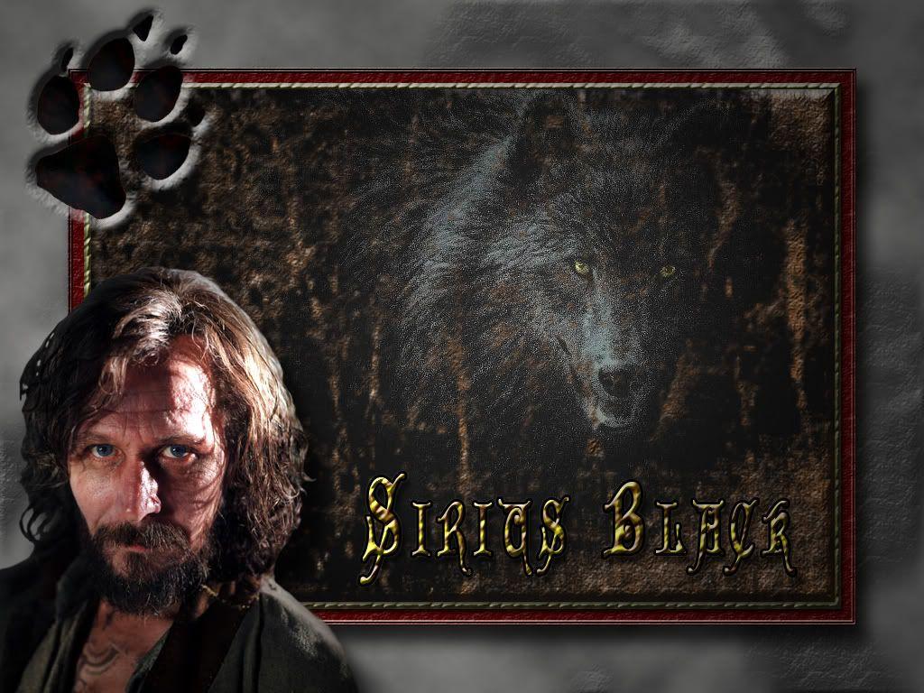 Sirius Black Wallpapers - Harry Potter Sirius Black , HD Wallpaper & Backgrounds
