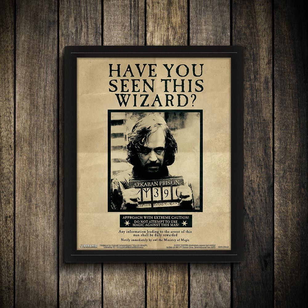 Harry Potter/sirius 3d Art Framed Featuring Sirius - Harry Potter Sirius Black Wanted , HD Wallpaper & Backgrounds
