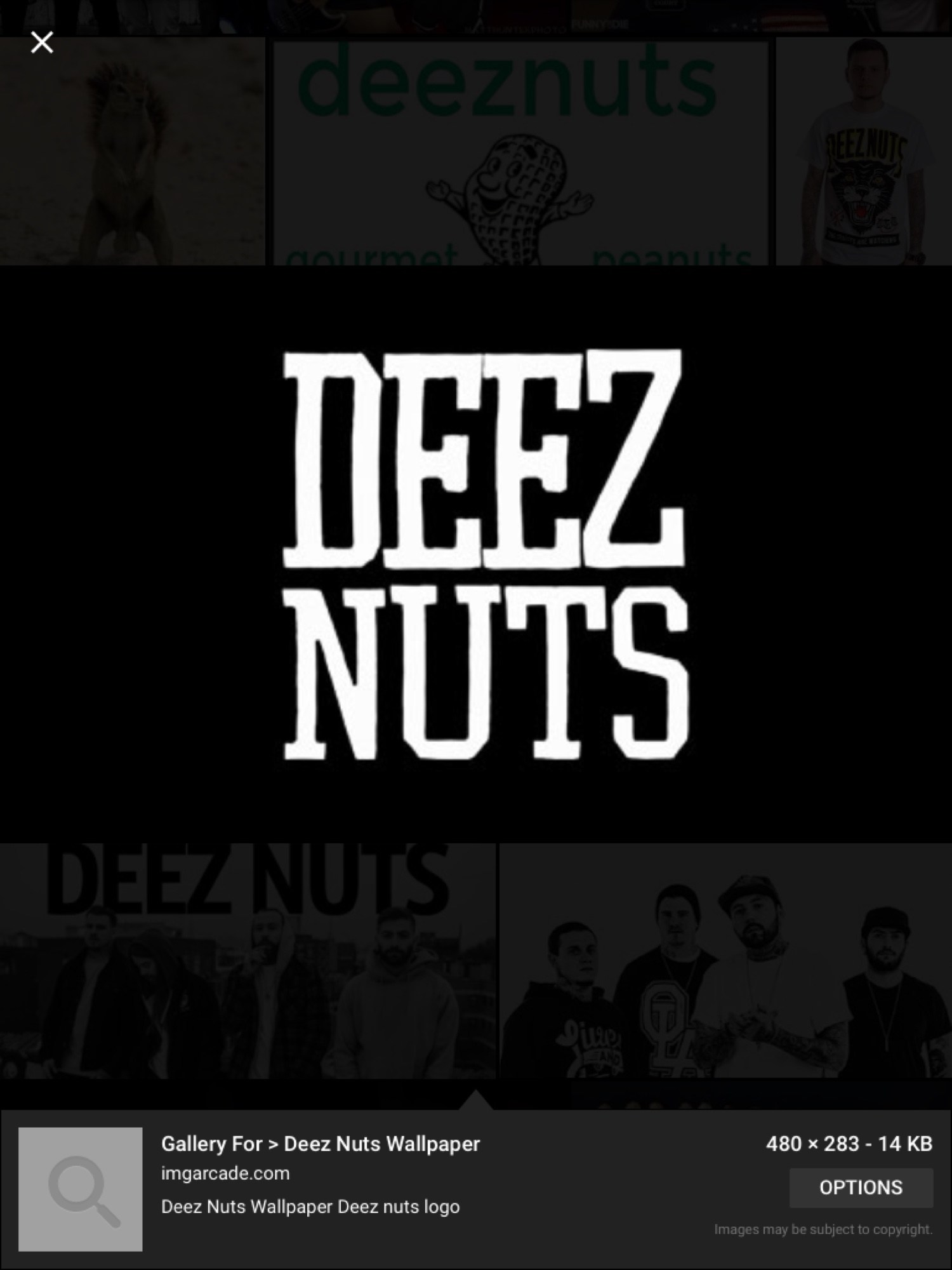 Deez Nuts Stay True , HD Wallpaper & Backgrounds