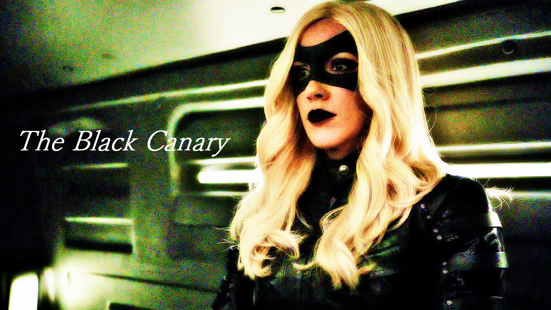 Laurel Lance/black Canary Wallpaper - Black Canary , HD Wallpaper & Backgrounds