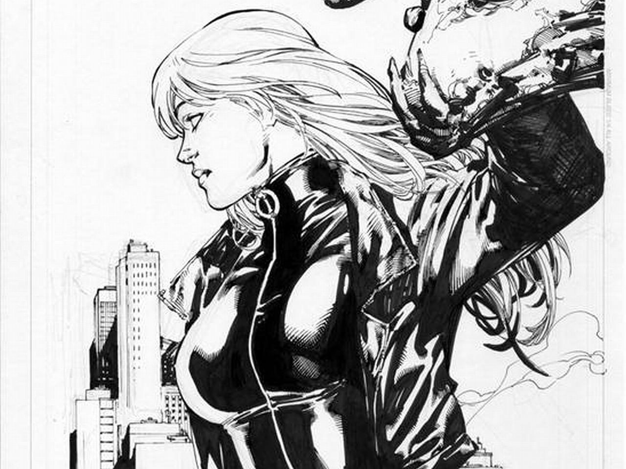 Black Canary - Awesome Drawing Black Canary , HD Wallpaper & Backgrounds
