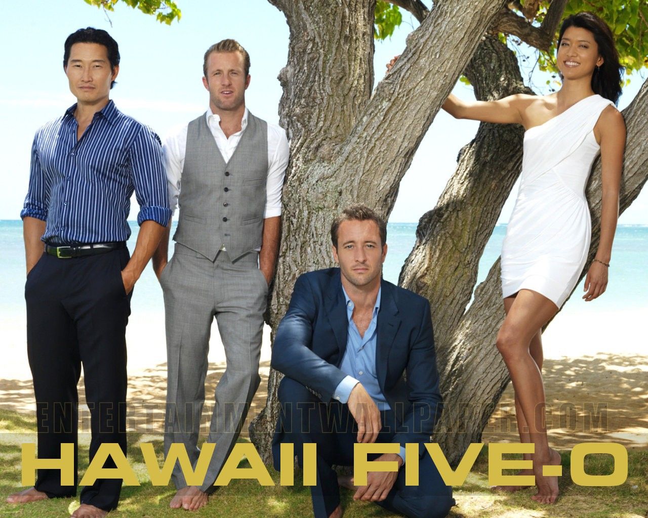 Hawaii Five-0 Wallpaper - Hawaii Five 0 Team , HD Wallpaper & Backgrounds