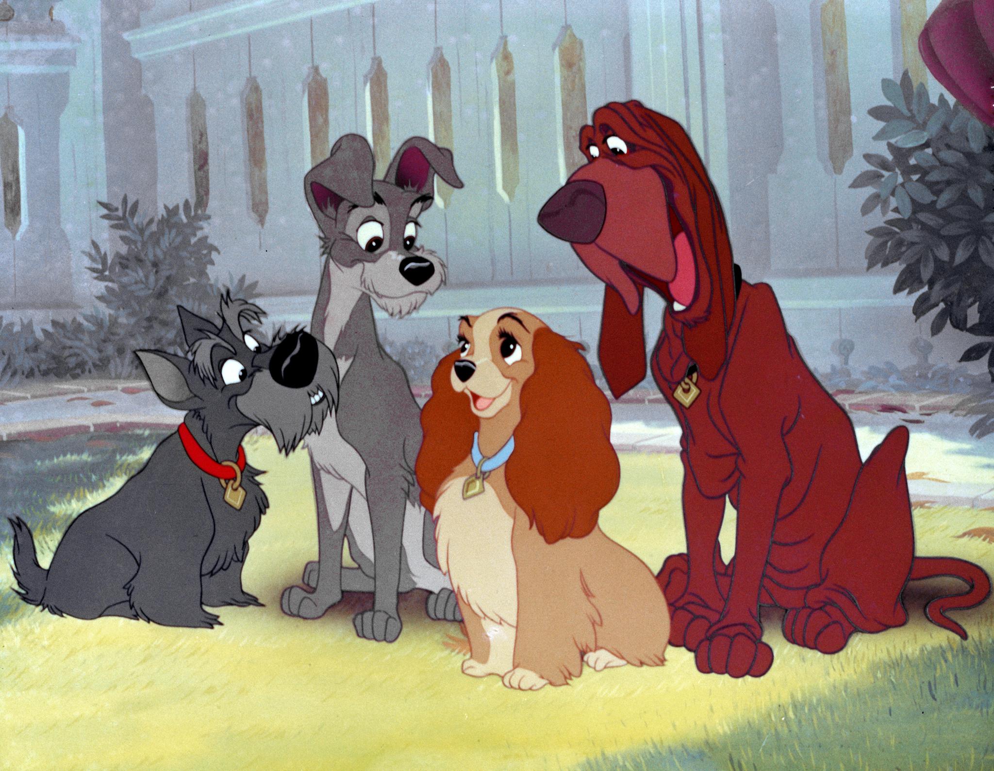 Lady And The Tramp Wallpaper - Dogs On Lady And The Tramp , HD Wallpaper & Backgrounds