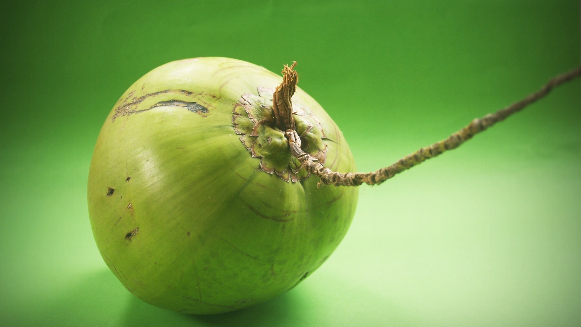 Green Coconut Hd Wallpaper - Green Coconut , HD Wallpaper & Backgrounds