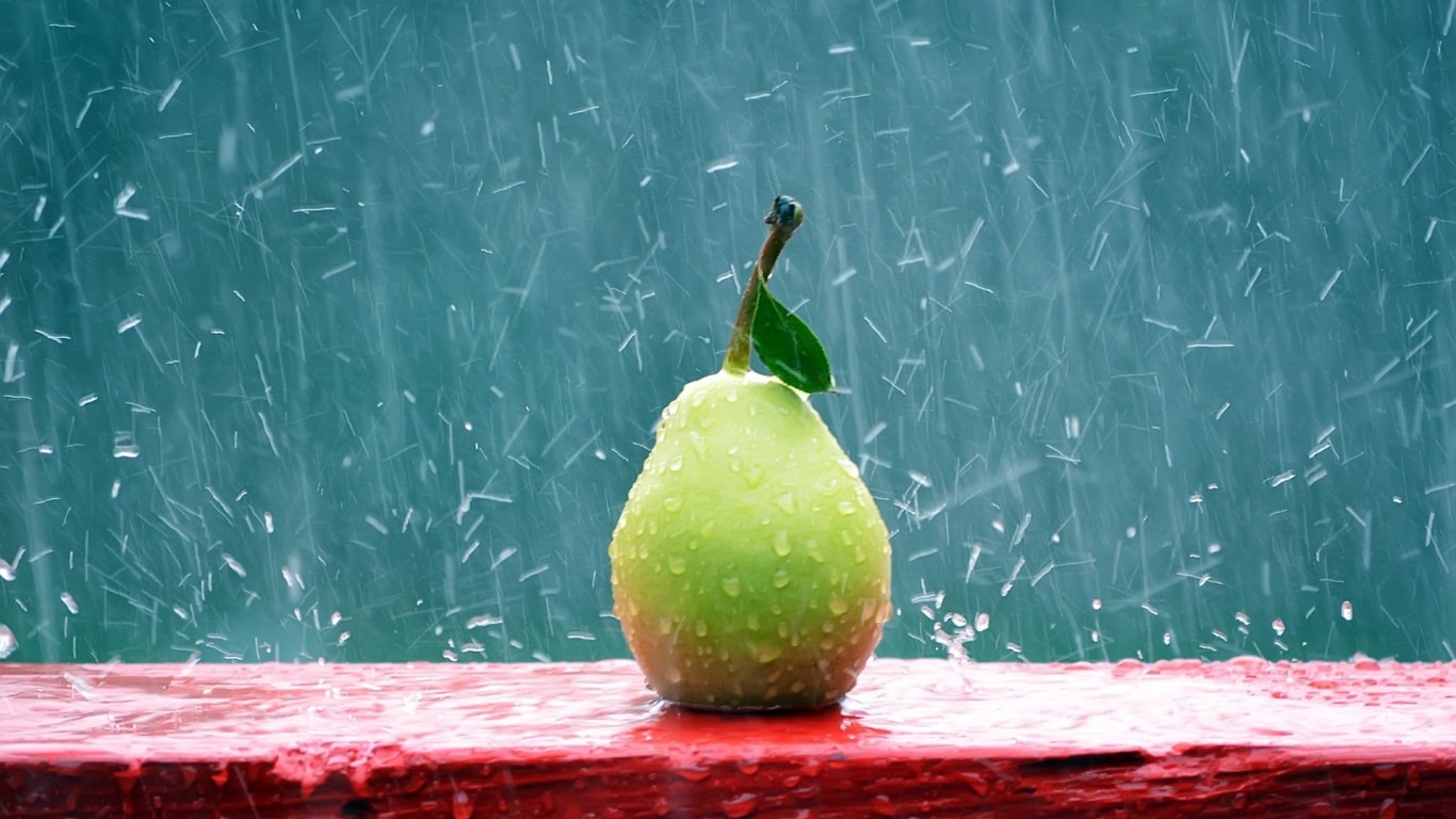 Guava Widescreen For Desktop - Pear In The Rain , HD Wallpaper & Backgrounds