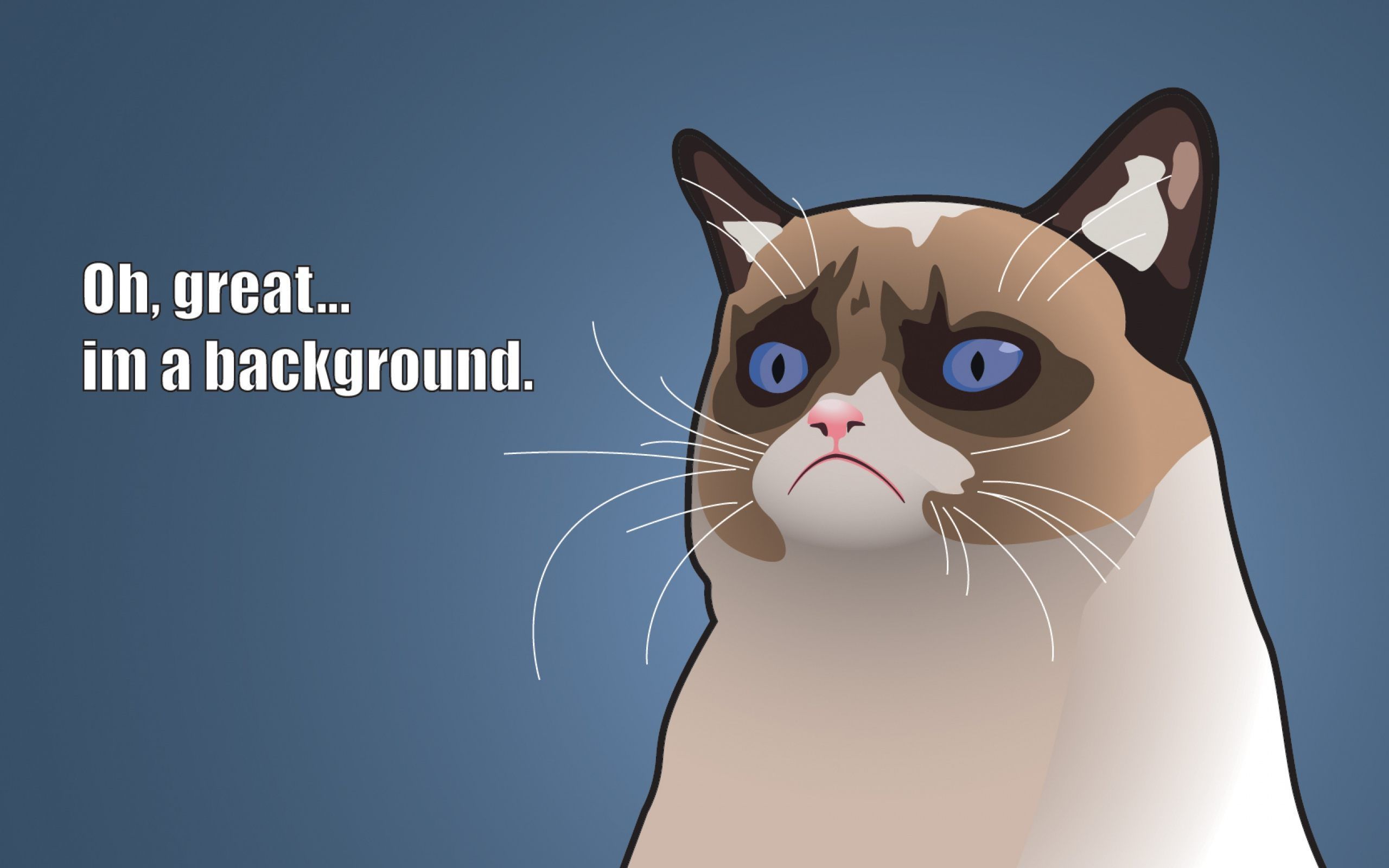Hello I Am Your Wallpaper And I Love You 67 Pictures - Grumpy Cat Wallpaper Hd , HD Wallpaper & Backgrounds