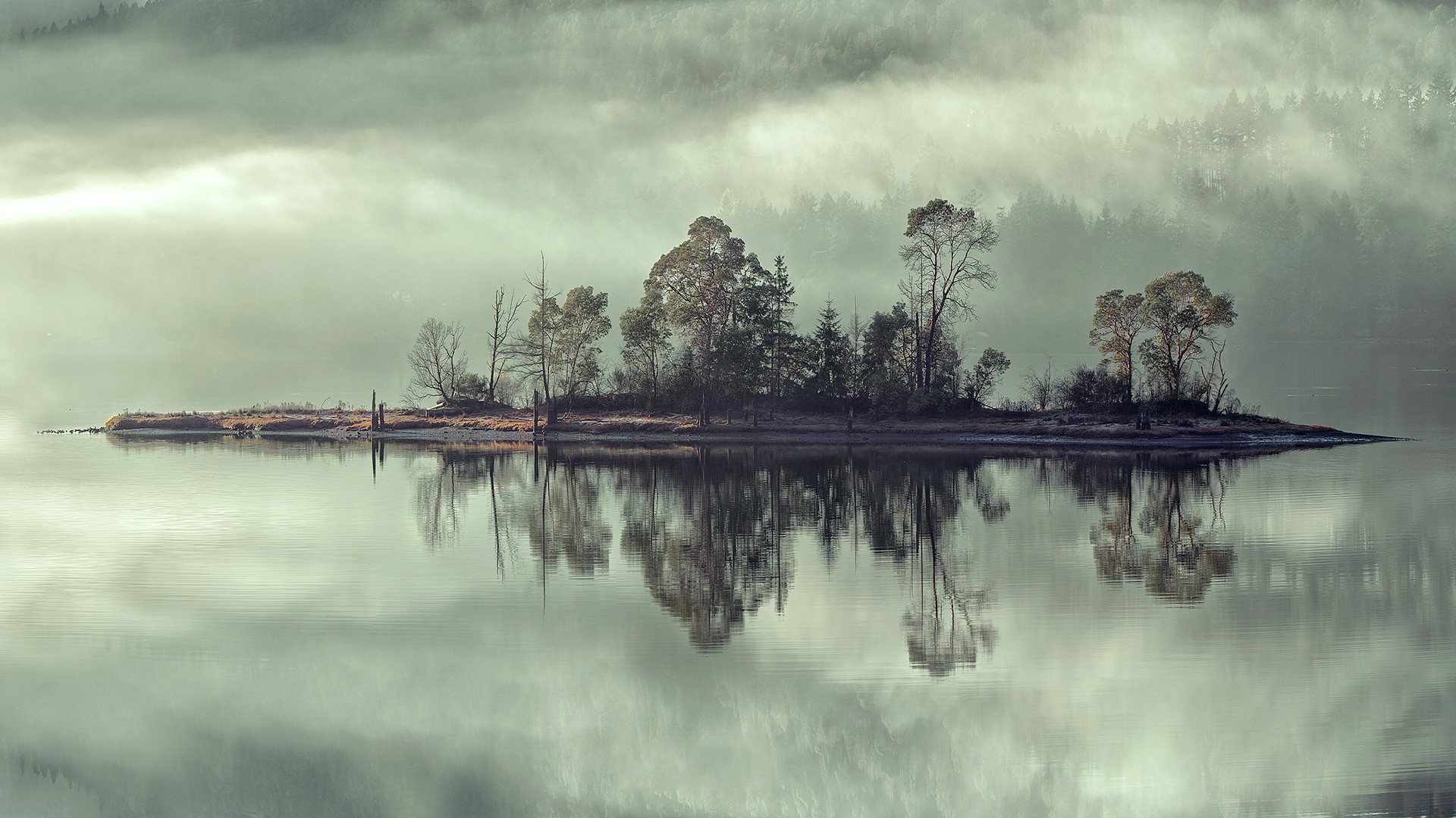 Nature, Landscape, Trees, Mist, Forest, Water, Lake, - Reflection , HD Wallpaper & Backgrounds