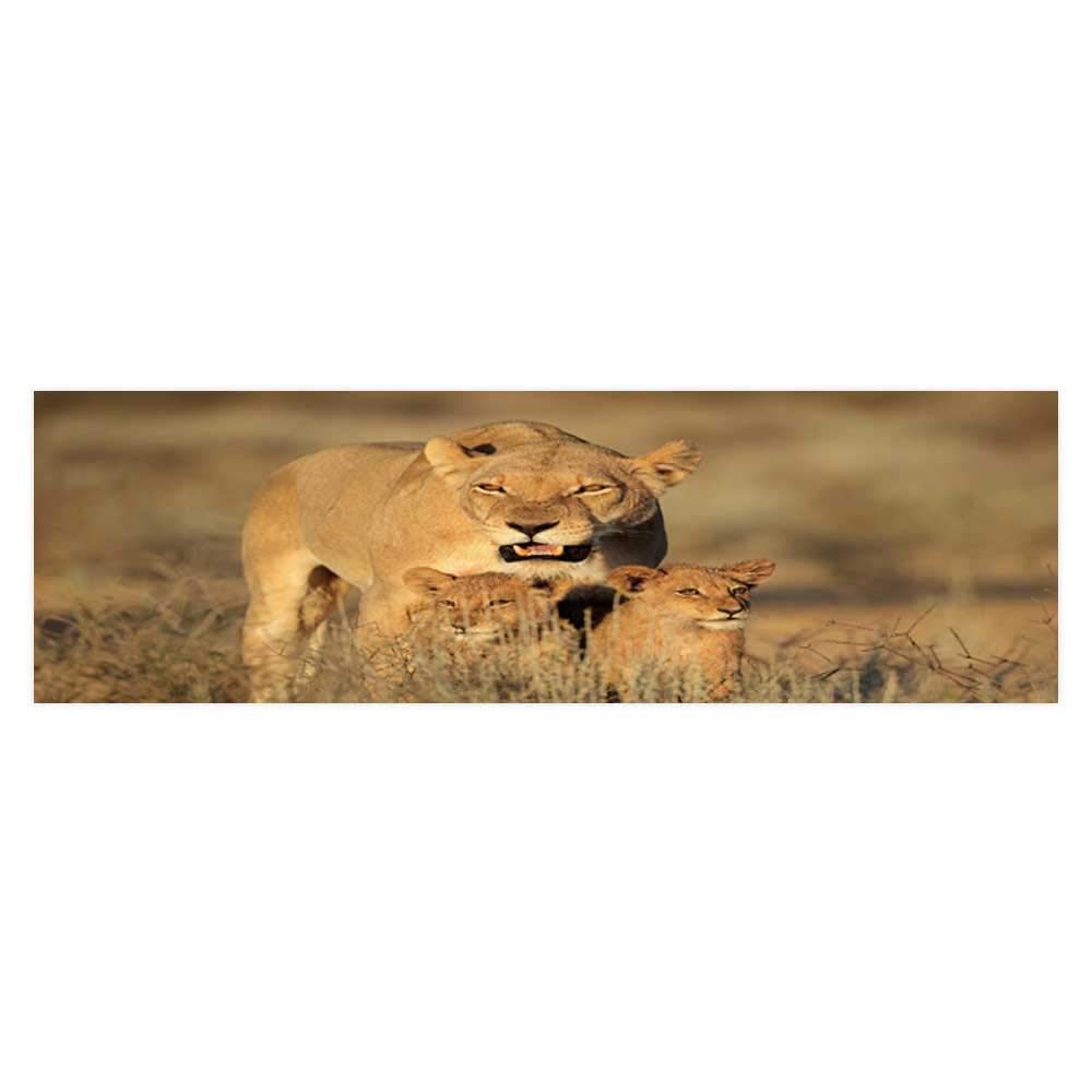 Dragonhome Decor Paper Cling Decals Sticker Lioness - Masai Lion , HD Wallpaper & Backgrounds