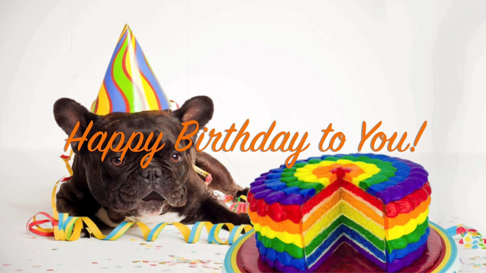 Funny Happy Birthday Wallpaper 61 Images - Happy Birthday French Bulldog Black , HD Wallpaper & Backgrounds