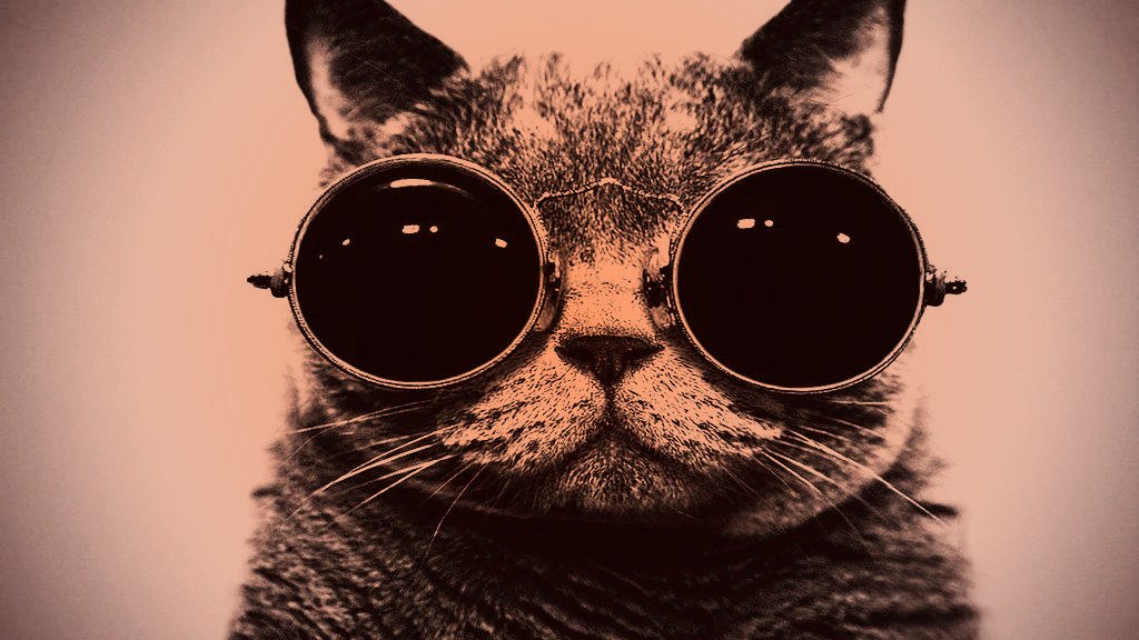 Bamf Cat With Sunglasses Toaster Hd Wallpaper - Trap Music Mix 💣 2017 Bass Boosted 💣 Best Trap Hits , HD Wallpaper & Backgrounds