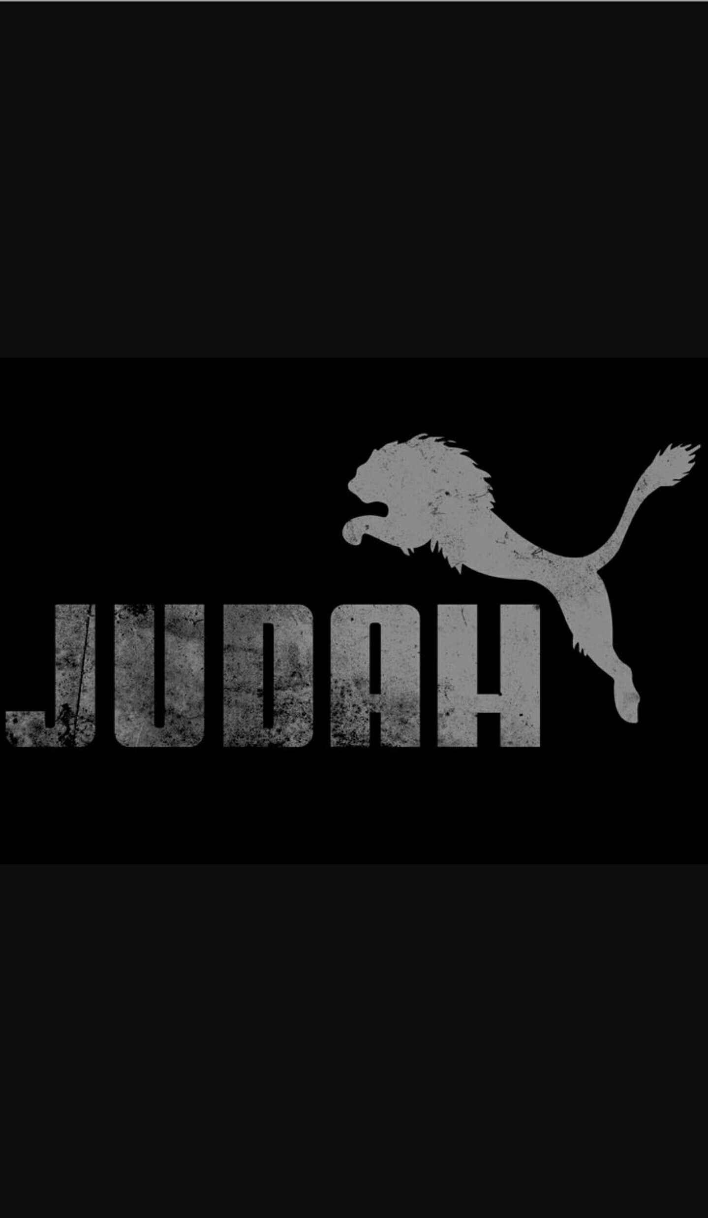 So Hebrew - Puma Logo But Lion , HD Wallpaper & Backgrounds