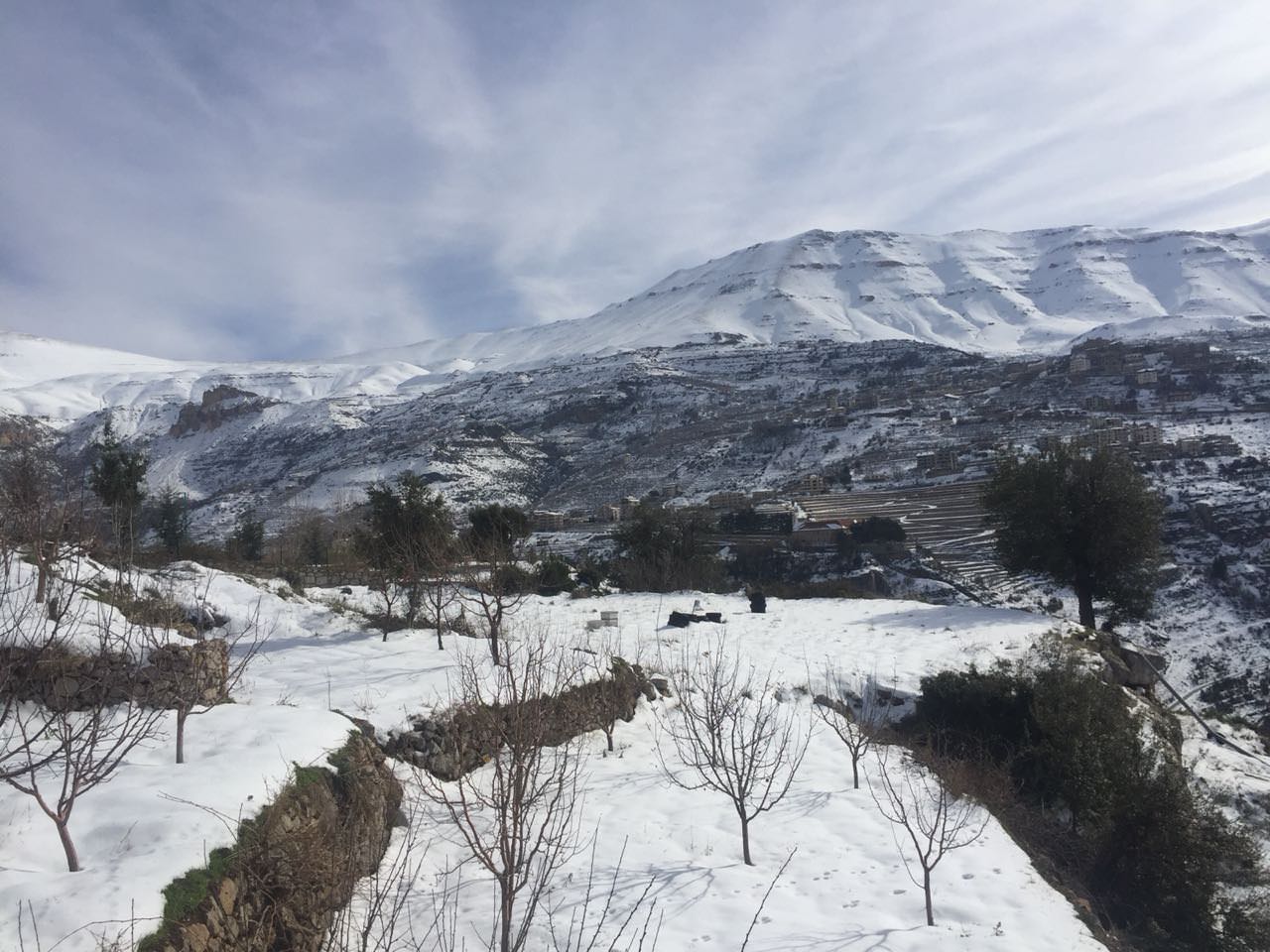 Asia Images Bsharri, Lebanon Hd Wallpaper And Background - Snow , HD Wallpaper & Backgrounds