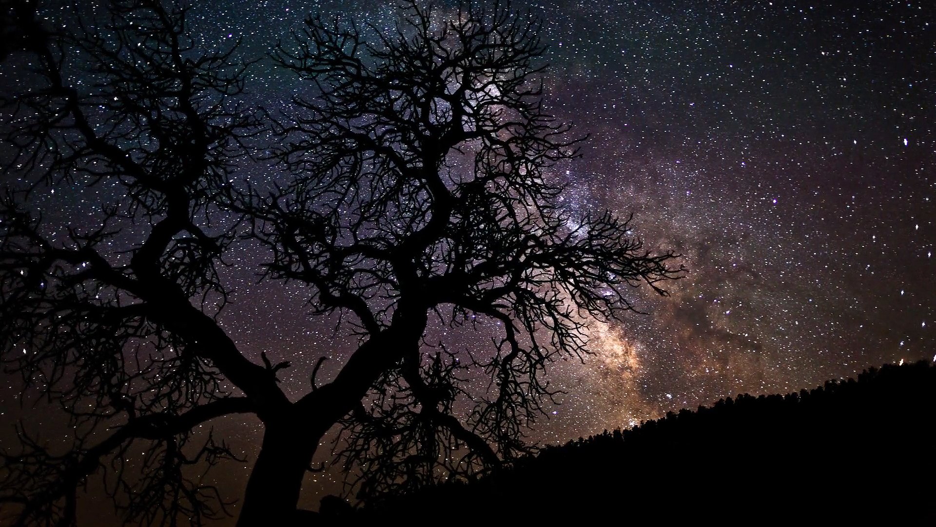 Wallpapers Id - - Starry Night With Trees , HD Wallpaper & Backgrounds