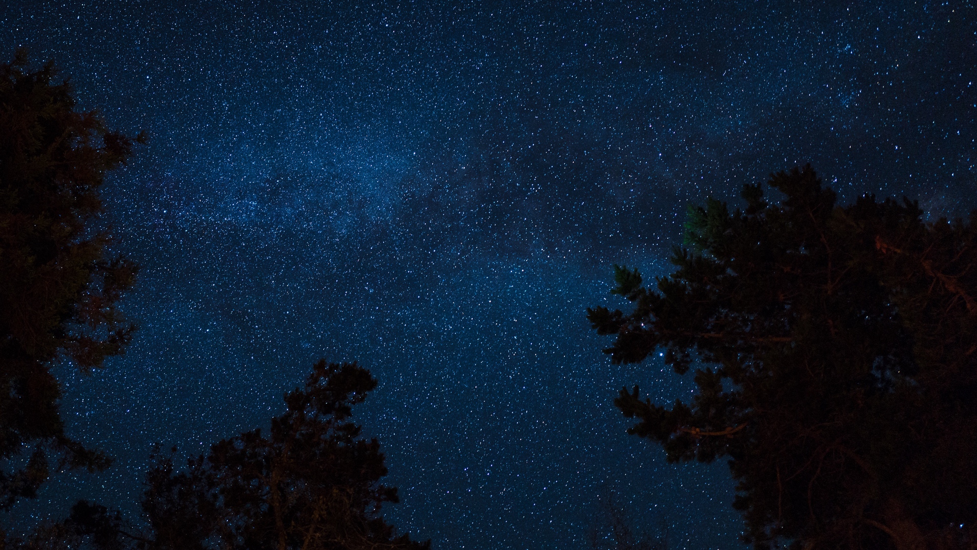 Sternenhimmel, Nacht, Erde, Sterne, Baum Wallpaper - Cielo Estrellado Con Arboles , HD Wallpaper & Backgrounds