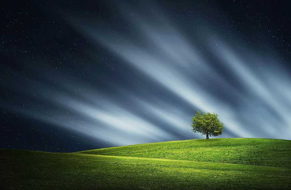 Tree Night Clouds Nature Landscape - Landscape Beautiful Nature Pixabay , HD Wallpaper & Backgrounds