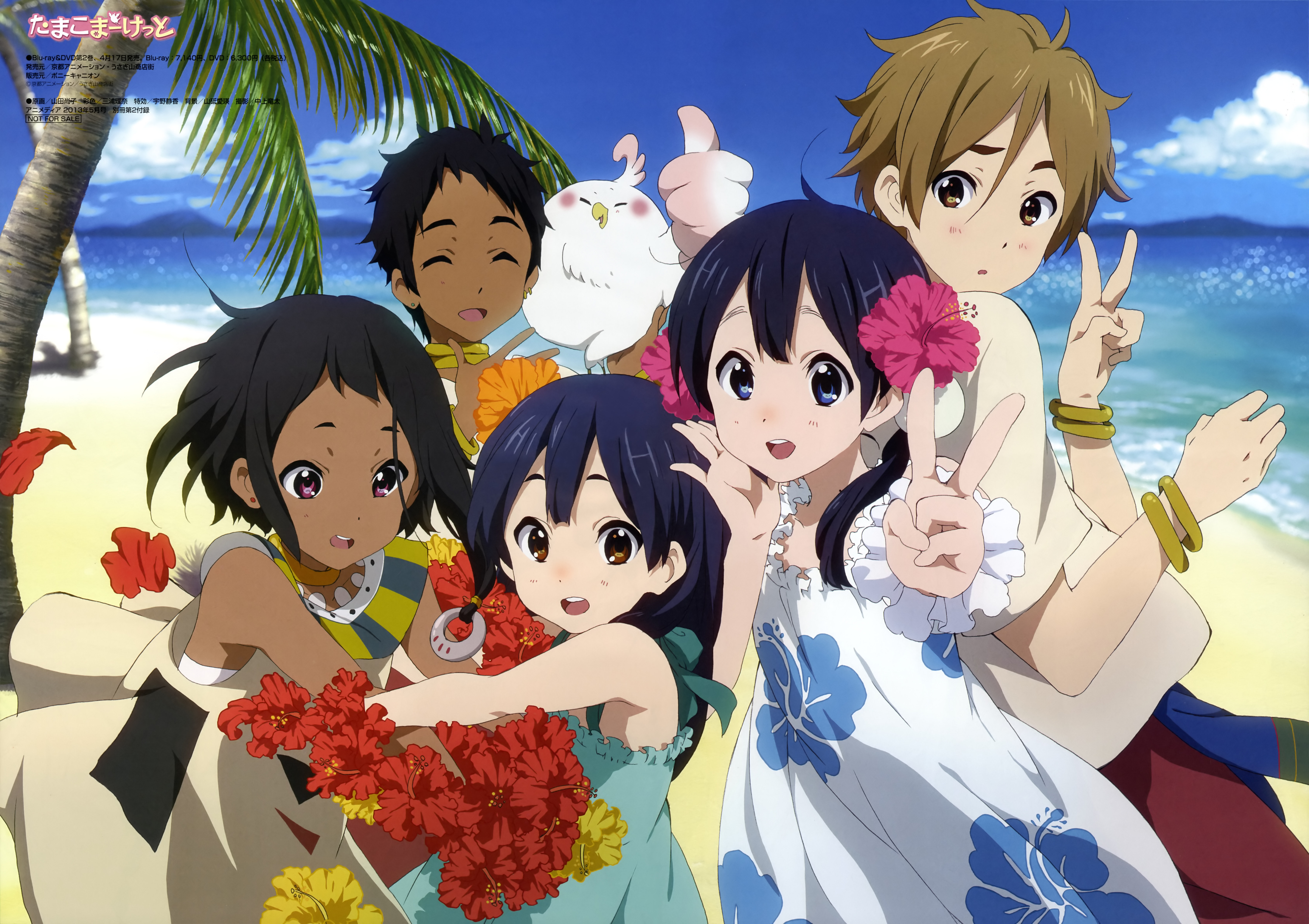 Tamako Market , HD Wallpaper & Backgrounds