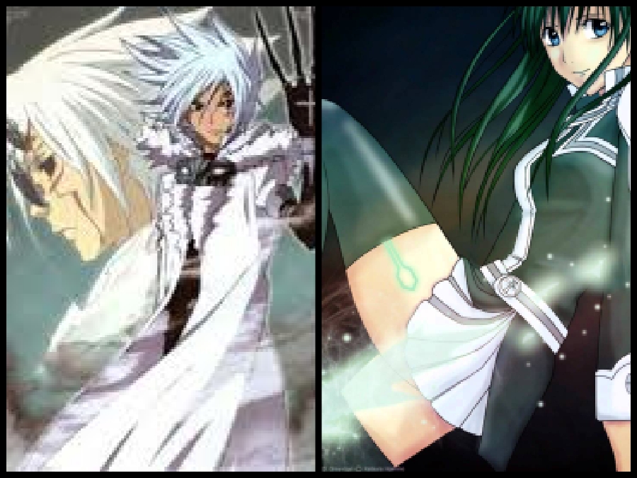 Gray Man Wallpaper Entitled D - Lenalee Lee X Allen Walker , HD Wallpaper & Backgrounds