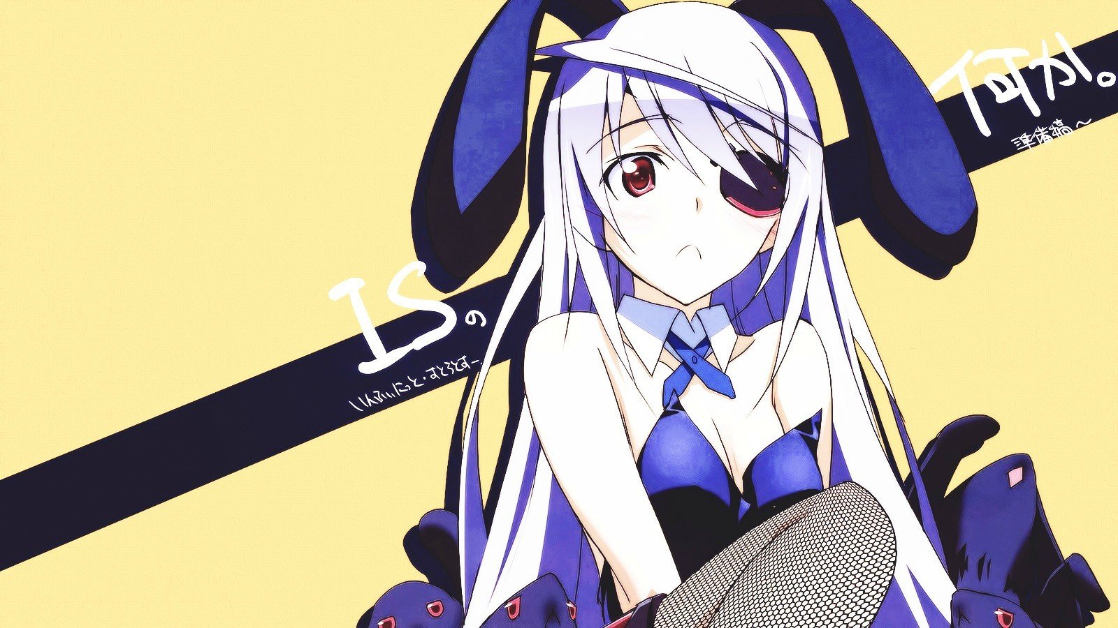 Infinite Stratos, Bunny Suit, Eye Patch, Anime Girls, - Infinite Stratos Laura Bunny , HD Wallpaper & Backgrounds