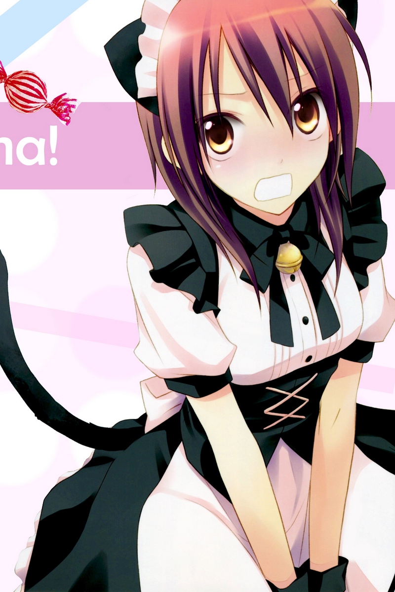 Wallpaper Kaichou Wa Ma - Misaki Neko , HD Wallpaper & Backgrounds