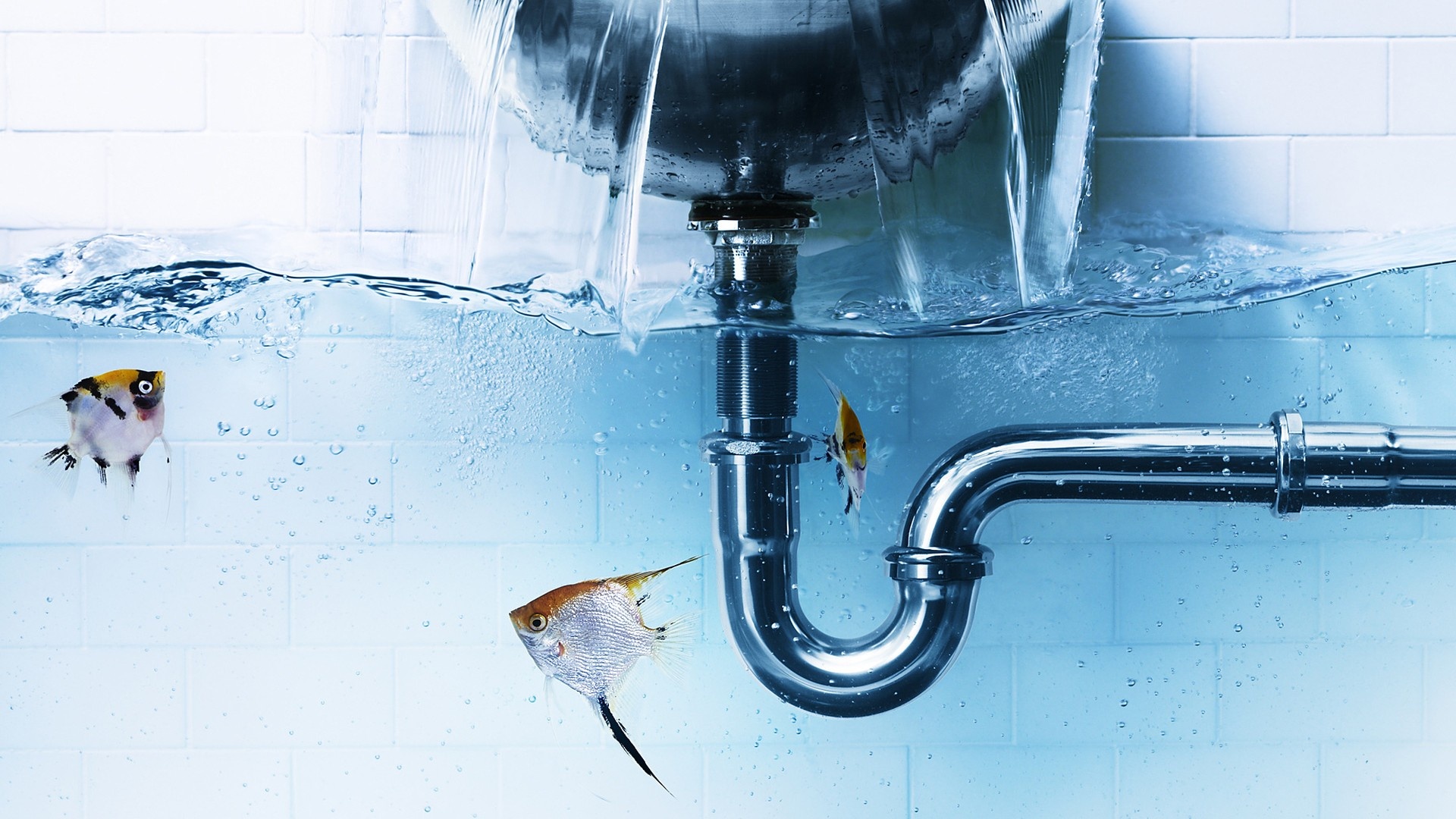 Fish, Aquarium, Sink, Pipe, Bubbles - Water Pipe , HD Wallpaper & Backgrounds