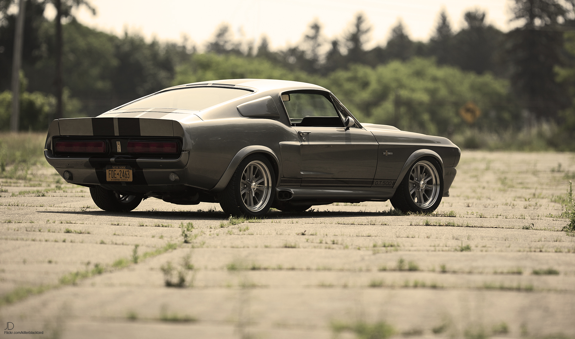 Eleanor Mustang , HD Wallpaper & Backgrounds