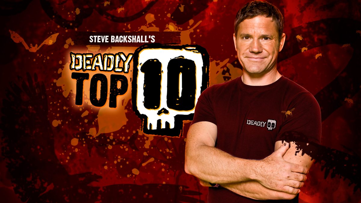 Lethal Weapons - Deadly Top 10 Episodes , HD Wallpaper & Backgrounds