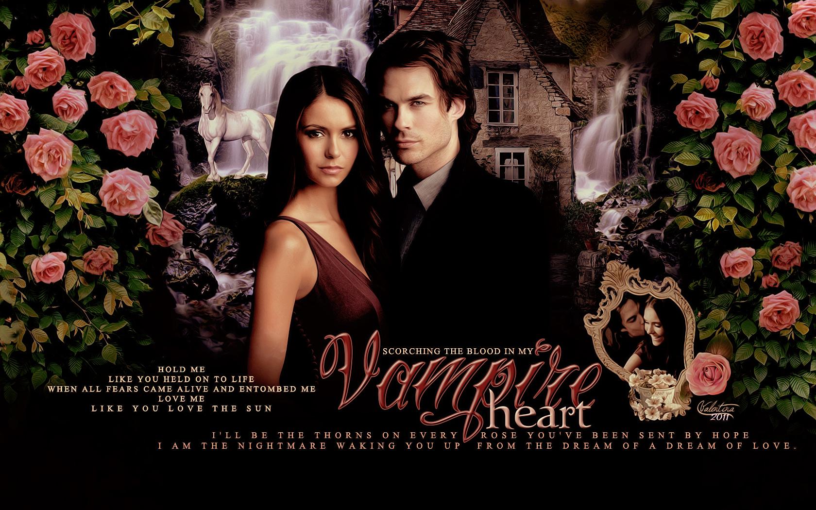Vampire Diaries Delena Wallapers , HD Wallpaper & Backgrounds
