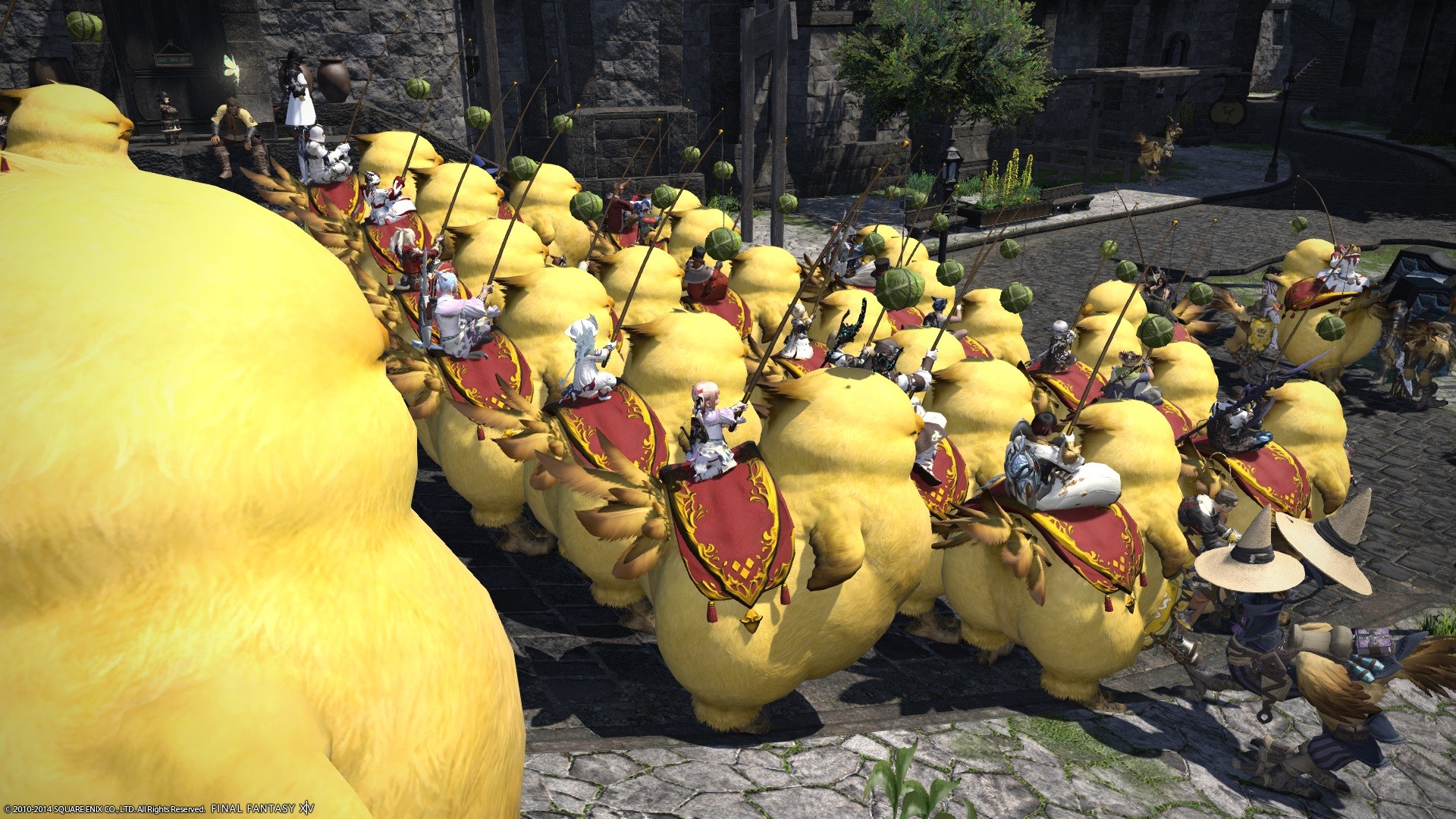 Final Fantasy Xiv Chocobo , HD Wallpaper & Backgrounds