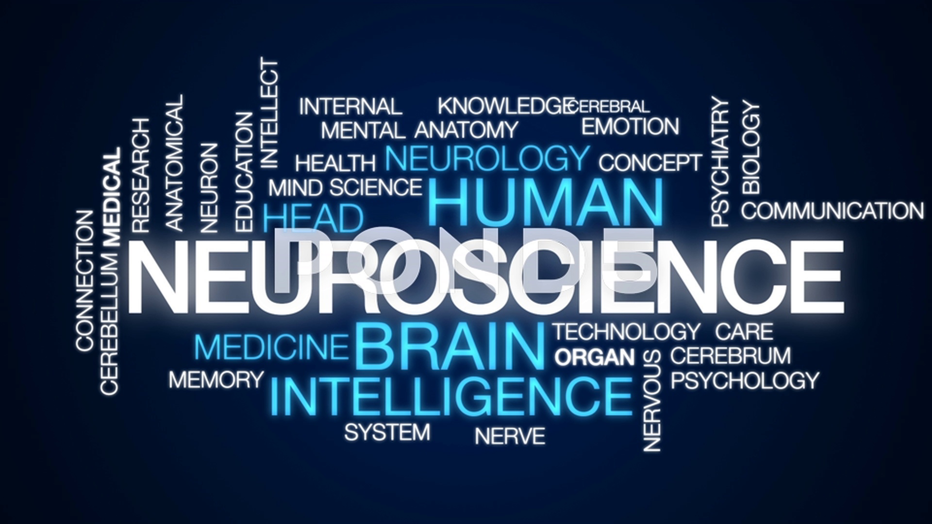 Neuroscience Animated Word Cloud, Text Design Animation - Emergency Medicine , HD Wallpaper & Backgrounds