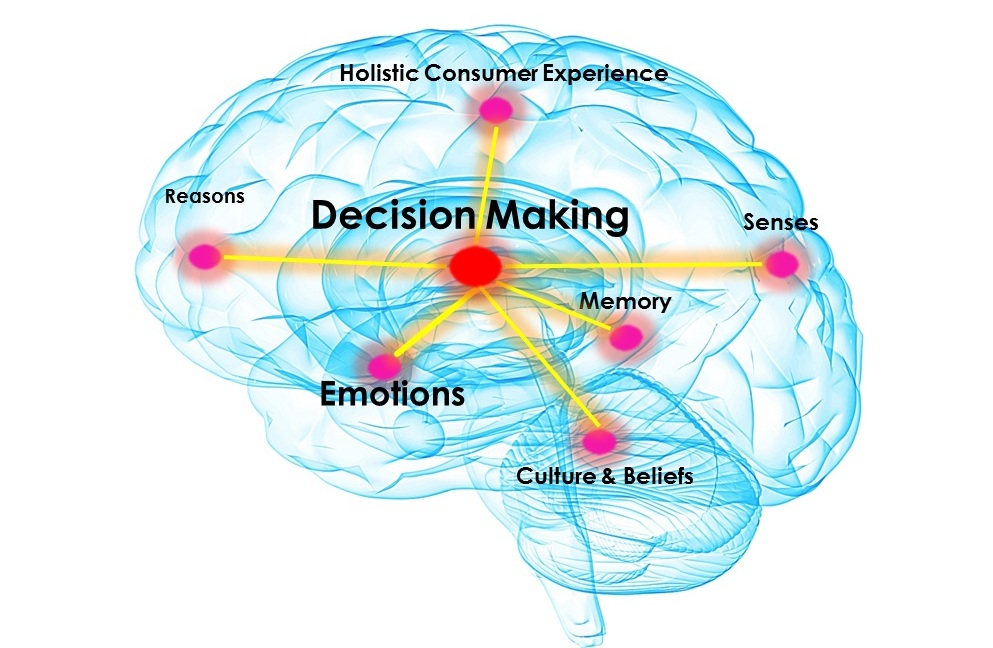 Decisionmaking Brain - Neuromarketing Brain , HD Wallpaper & Backgrounds