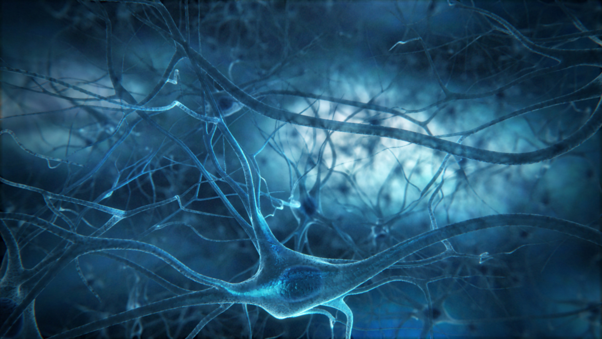 Neuroscience Wallpaper - Brain Neuron , HD Wallpaper & Backgrounds