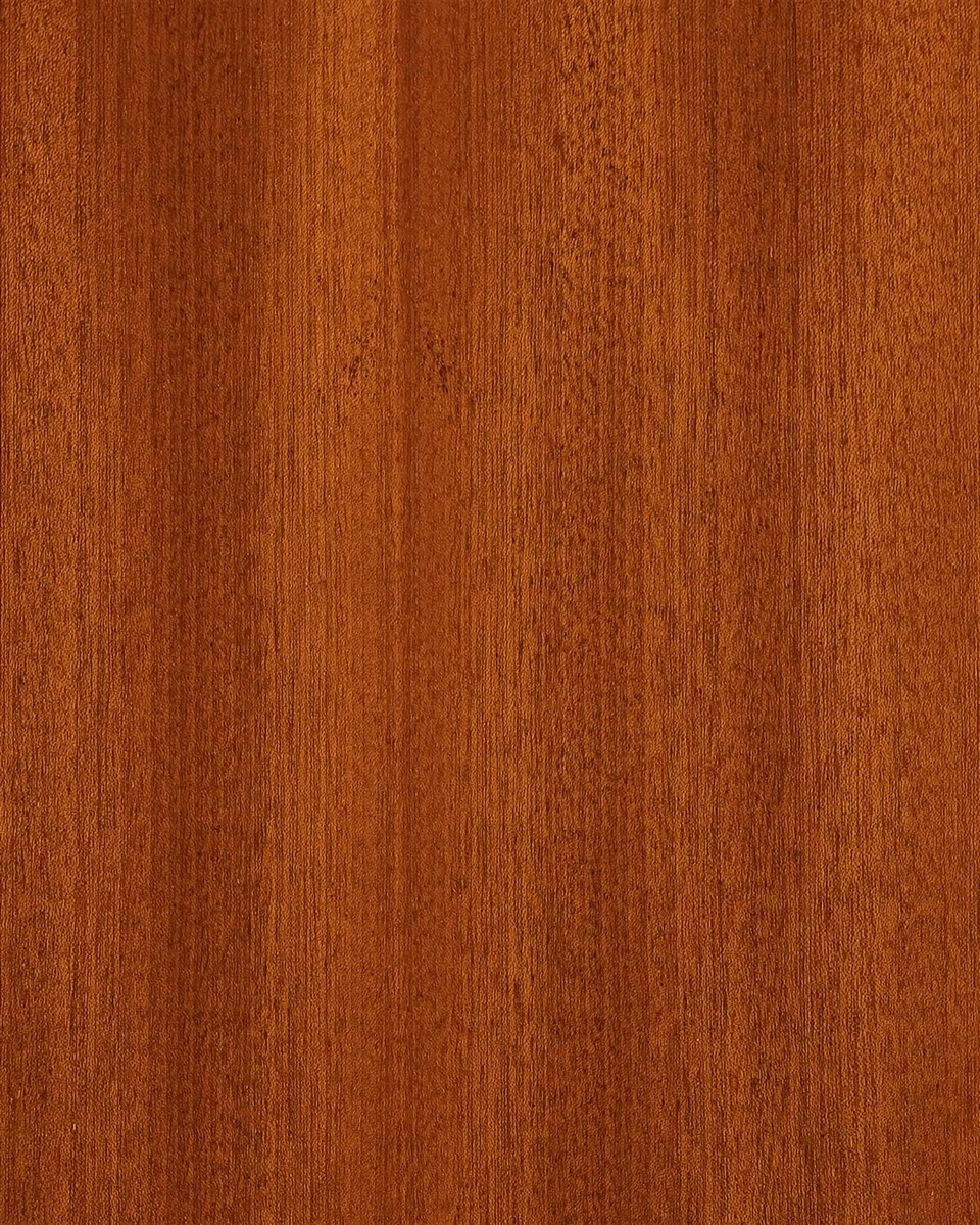 Sapele Quarter Sawn Wood Wallpaper - Plywood , HD Wallpaper & Backgrounds