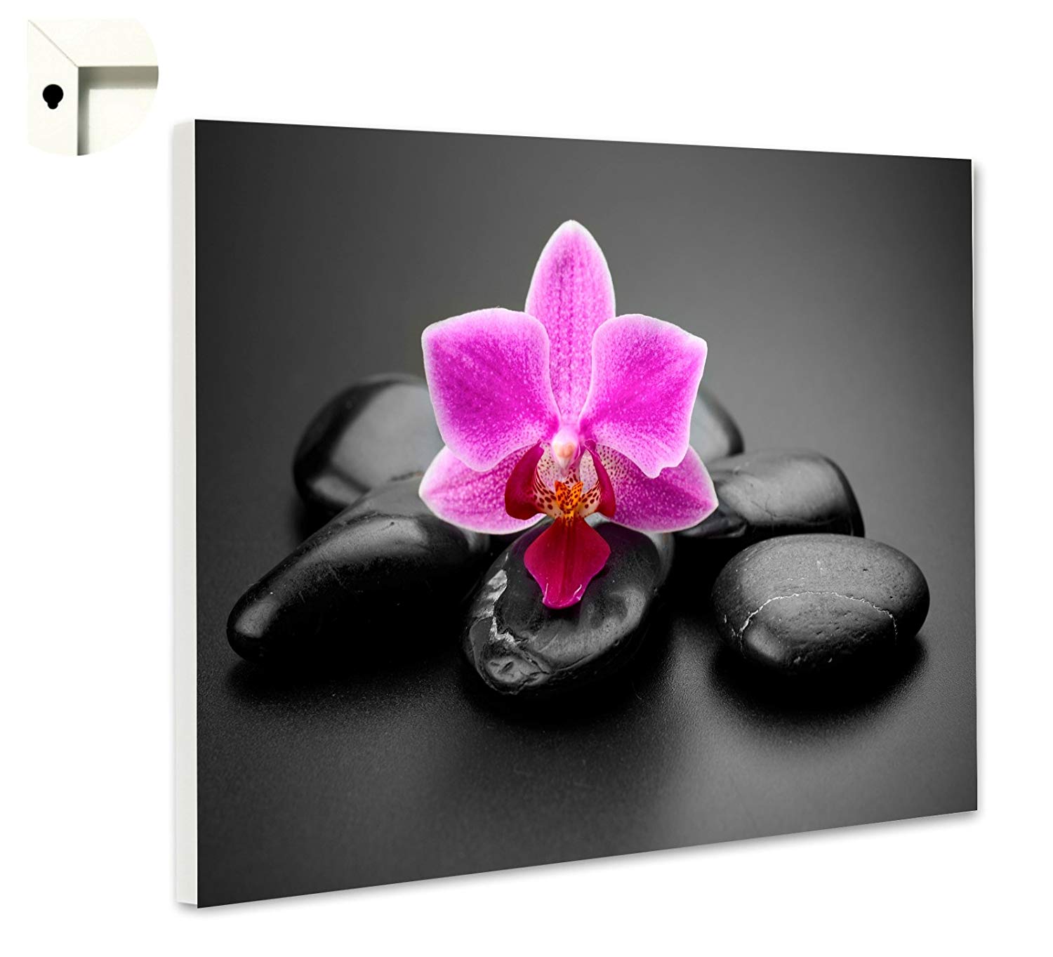 Poster Adhesive Photo Wallpaper Pole Dance Black White - Phalaenopsis Sanderiana , HD Wallpaper & Backgrounds