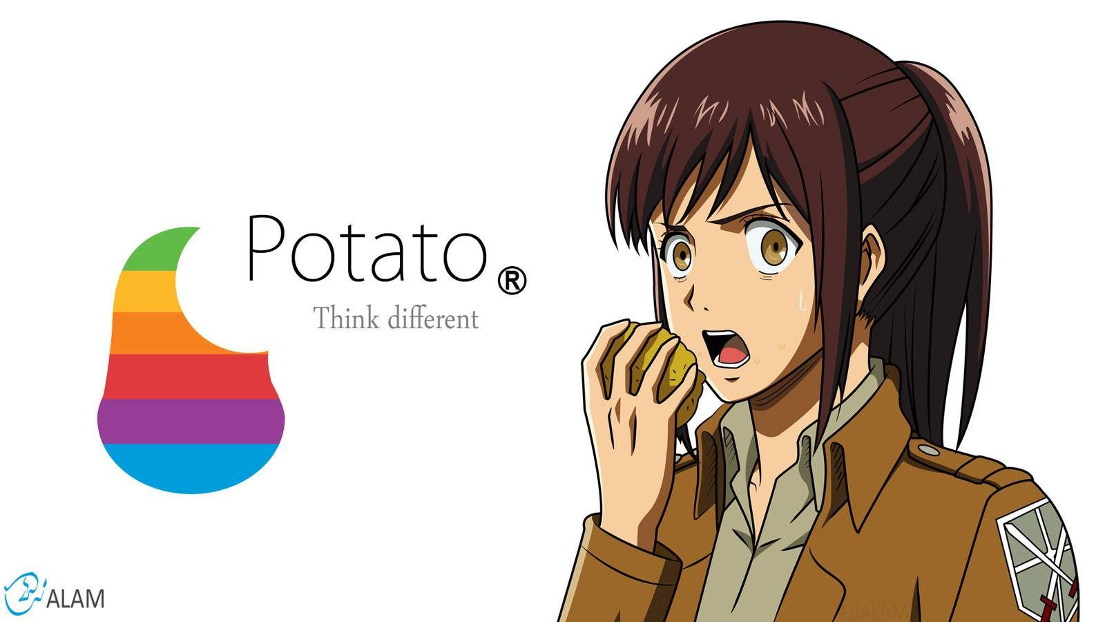 Potato Wallpaper - Attack On Titan Potato Girl , HD Wallpaper & Backgrounds
