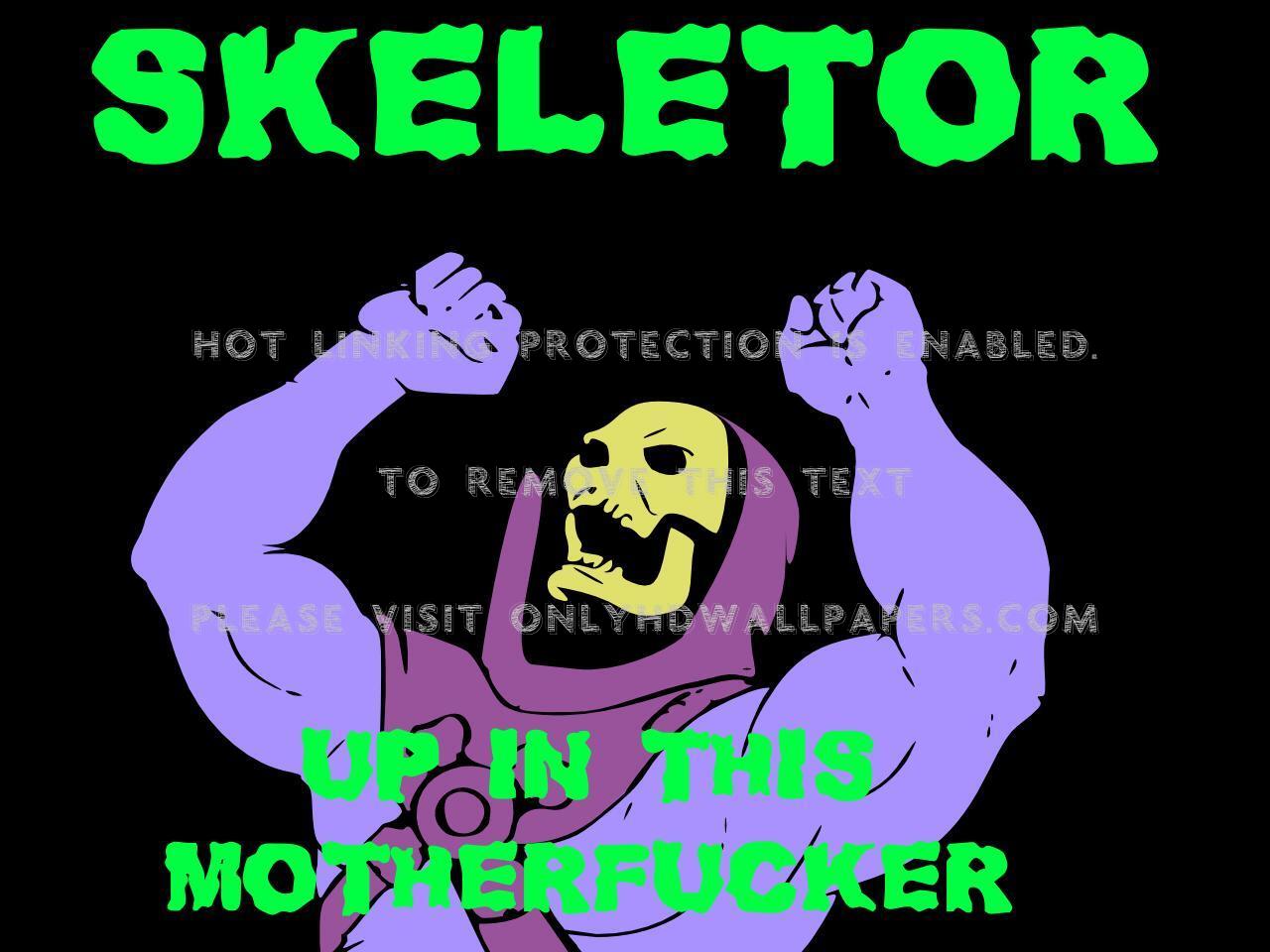 Skeletor-1bav - Poster , HD Wallpaper & Backgrounds