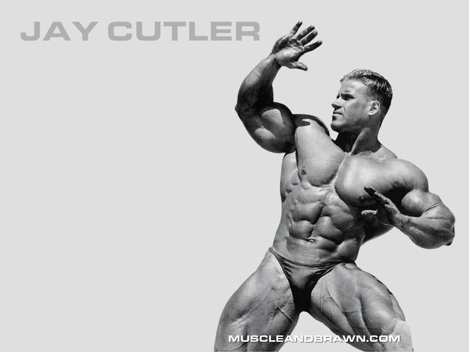 Jay Cutler - Bodybuilder Wallpaper Jay Cutler , HD Wallpaper & Backgrounds