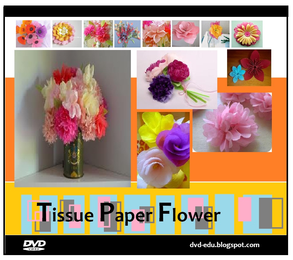 Tissue Paper Flowers , HD Wallpaper & Backgrounds