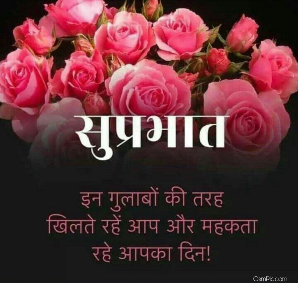 Suprabhat Good Morning Rose Photo Wallpaper Download Good