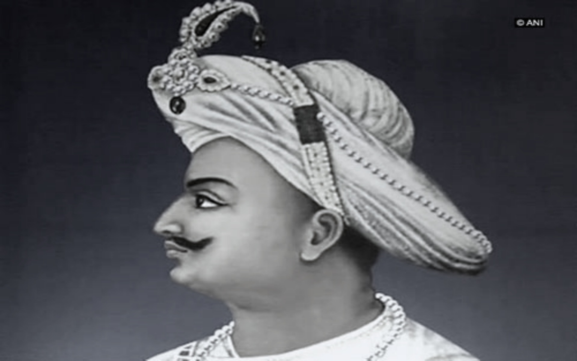 Tipu - Tipu Sultan , HD Wallpaper & Backgrounds