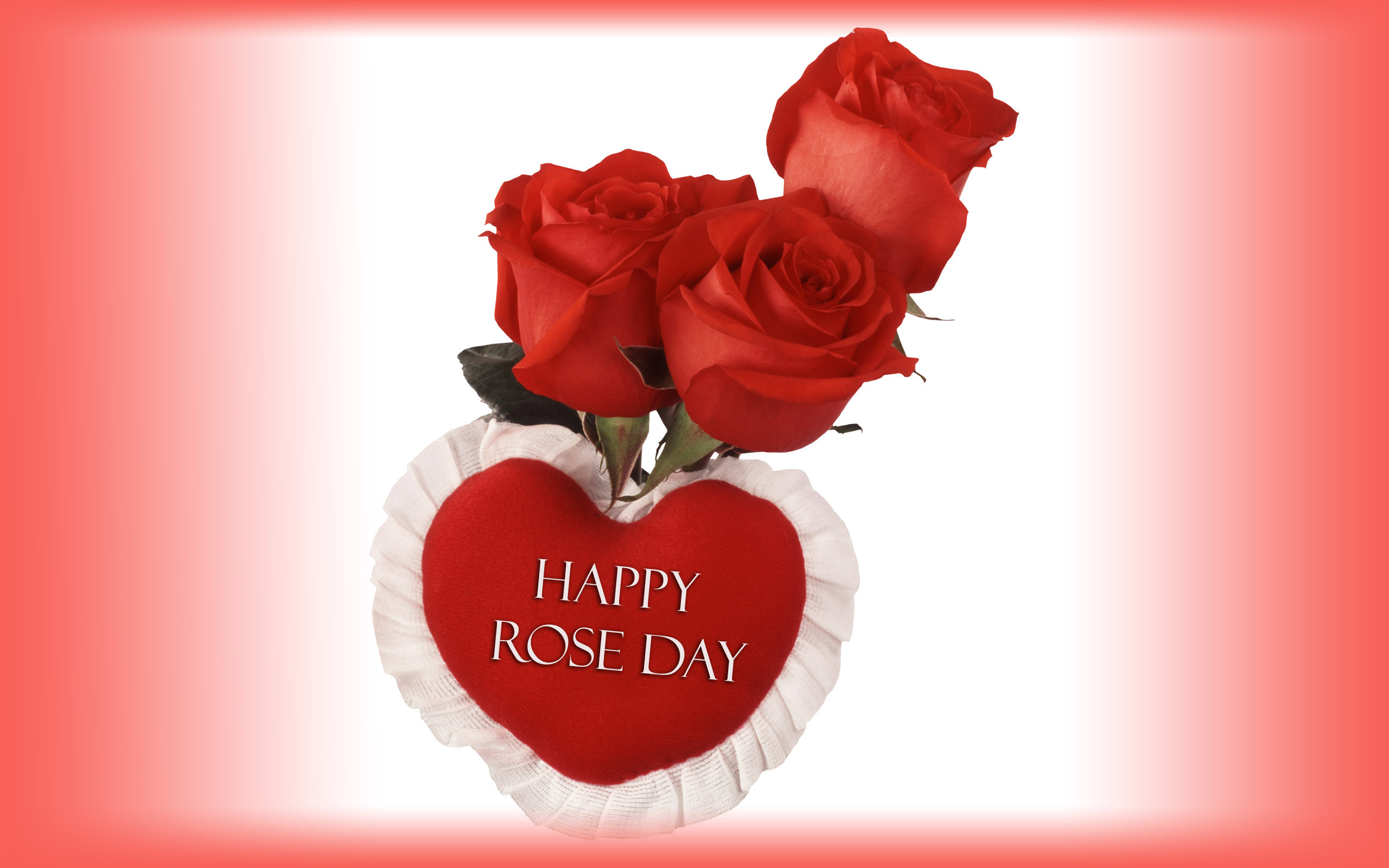 Happy Rose Day Hd , HD Wallpaper & Backgrounds