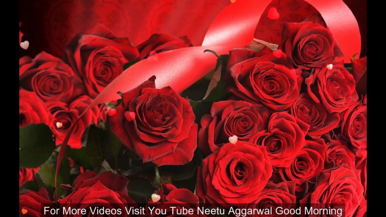 Good Morning Wishes With Beautiful Red Roses,morning - Roses For Women's Day , HD Wallpaper & Backgrounds