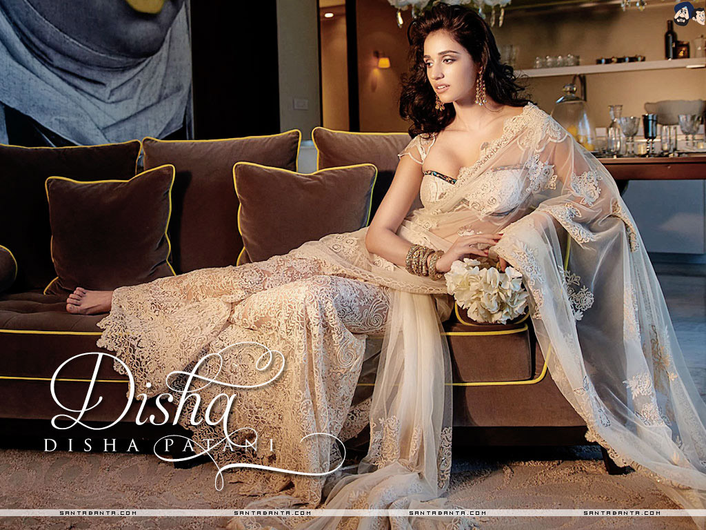 Disha Patani - Disha Hot In Saree , HD Wallpaper & Backgrounds